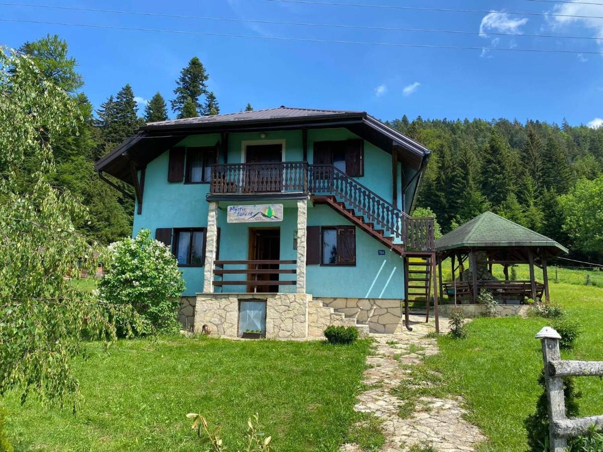 Mystic Forest Hostel Mitrovac Dış mekan fotoğraf