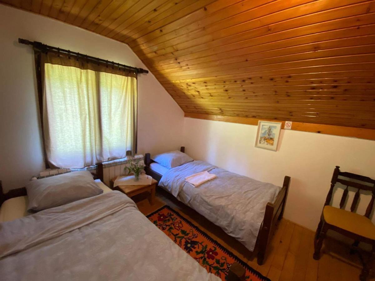 Mystic Forest Hostel Mitrovac Dış mekan fotoğraf