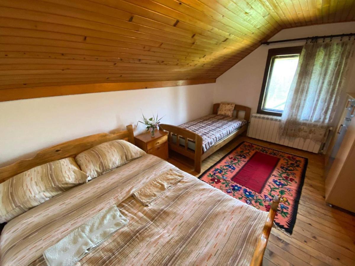 Mystic Forest Hostel Mitrovac Dış mekan fotoğraf