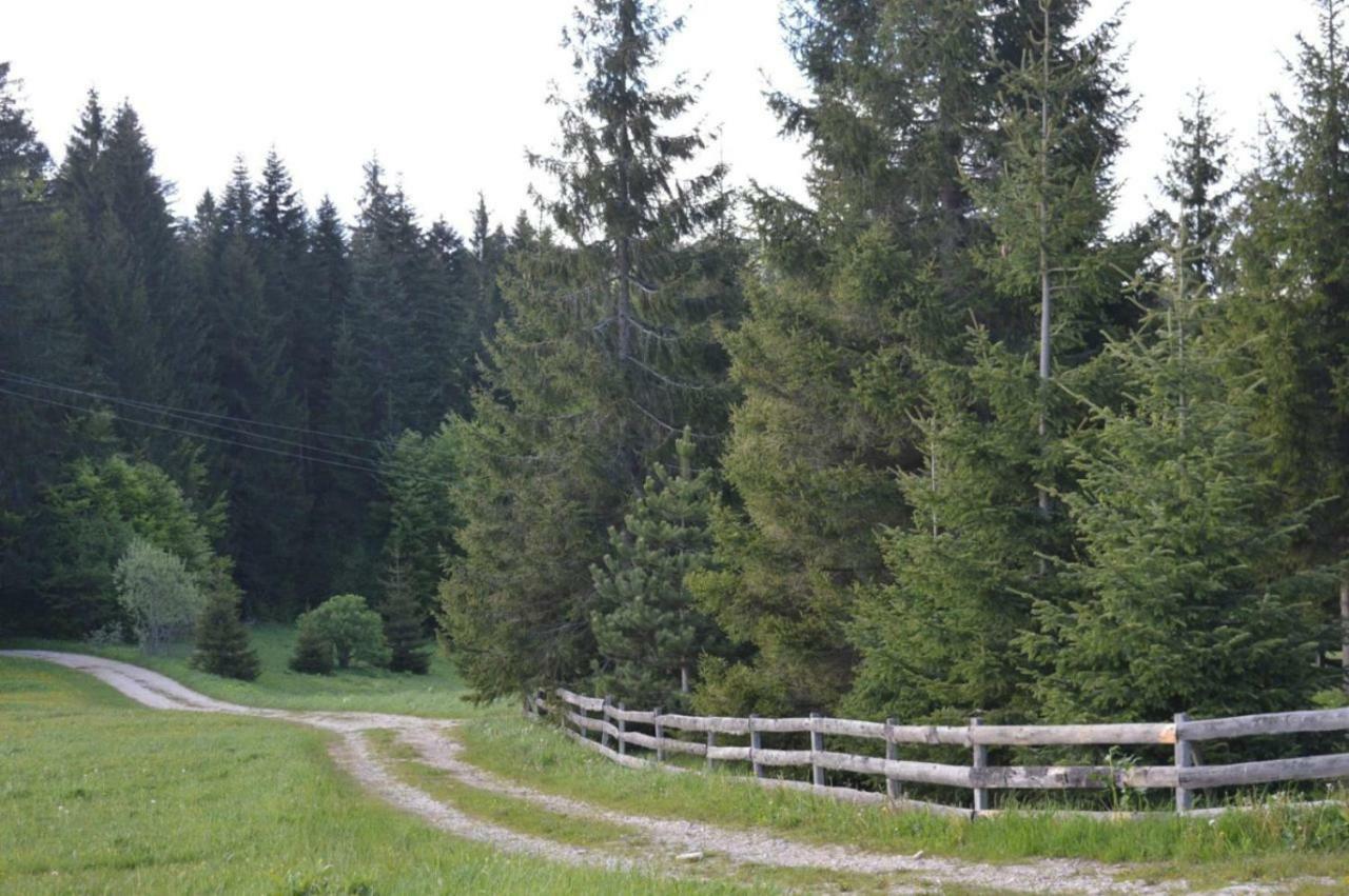 Mystic Forest Hostel Mitrovac Dış mekan fotoğraf