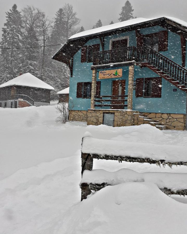 Mystic Forest Hostel Mitrovac Dış mekan fotoğraf